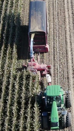 CANADIAN FARMER - YOUR DAILY DOSE OF FARMING - # 35 - VINTAGE DION F41 - 4 ROW corn chopper.