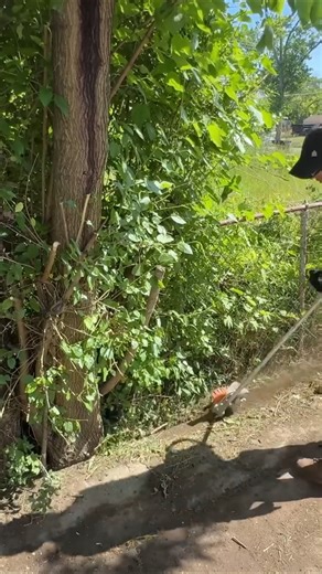 Code Violation TRIGGERS Neighbor Feud!!! | Shanon Gleichner