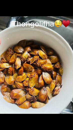 Exploring Traditional Venda Food: Thongolifha Delicacy