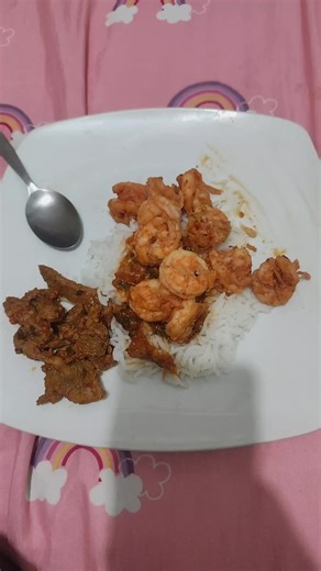 Delicious Foodie Adventures with Rice and Steak