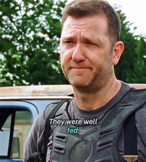 They Fed Walkers To Pigs, Then Fed The Pigs To The Saviors / The Walking Dead S7.E2 #shorts