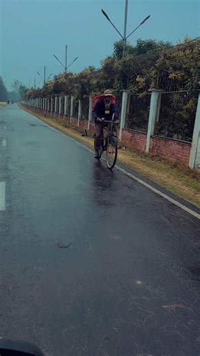 Soft Rain on a Quiet Road || Aesthetic Rain Vibes 🤯 #short