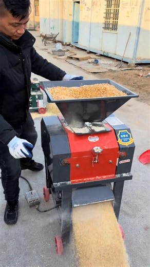 Corn Crusher Machine for Poultry & Cattle Feed Maize Grinder Demo #corncrusher #farmequipment #viral