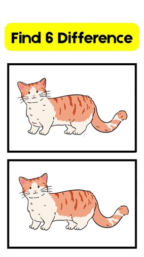 Find 6 Differences
