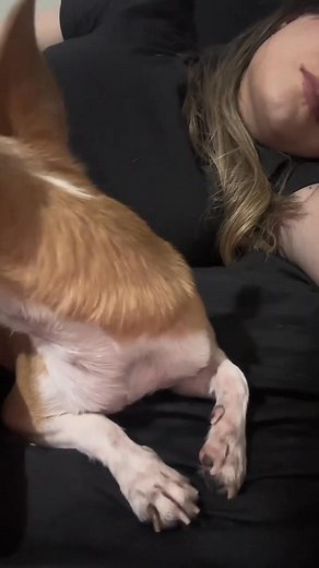 Jejejejej lo amo ???????? #asmr #perro #asmrdog | Luna La