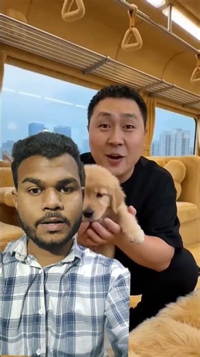 dog 🐕 wala train 🚆 #train #ai #aishorts #aivideo
