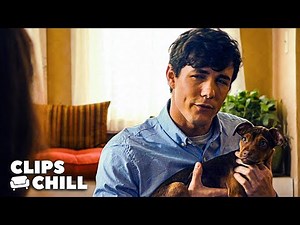 “Lucas Was My Person And I Was His Dog” | A Dog's Way Home