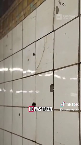 NYPD Officer Attacked at Subway Station in NYC