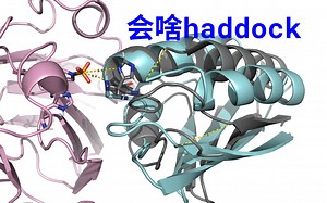 会啥_haddock_1_11_参考结构与对接结构重叠演示