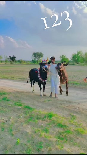 @Waseem Awan @brown.billaa @Prince kaMi AwAn @hassan65