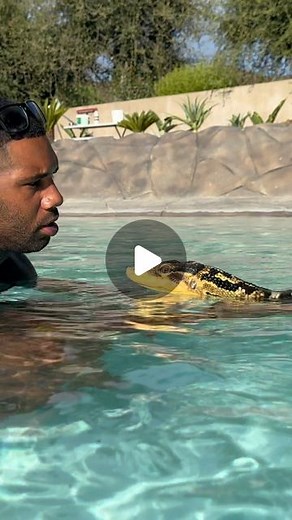 Mike Holston | I’m speaking English to a reptile 🦎 but it’s all about your body language and energy…that’s the key to lizard communication ✨🤝🏾 first swim... | Instagram