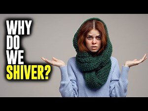 Why Do We Shiver