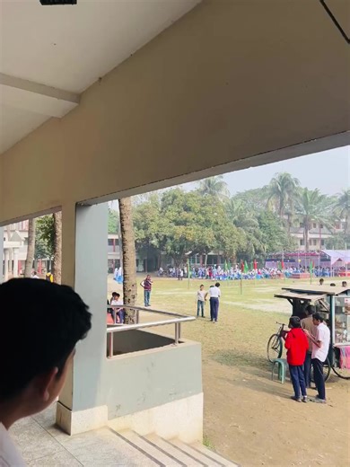 Hilarious Frog Video Moments That Will Make You Laugh