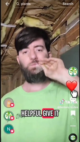 The Secret to Growing the Perfect Celery Every Time! #porchgardeningideas #gardeningforbeginners #gardeninghacks #fallgardening #gardeningvideos #gardeningplants #containergarden #gardeningadvice #gardencelery #celery #gardeningontiktok #homegarden #homegardening #grow #growplants