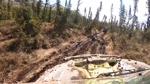Alaska Freedom Journey Edit 🏞️ | Frank Windust