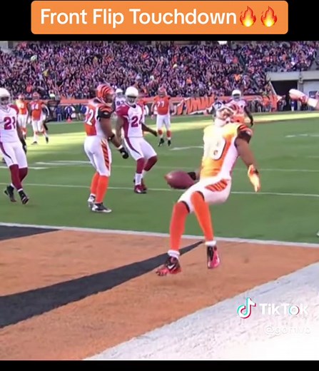 Jerome Simpson's Epic Front Flip Touchdown: NFL Highlight