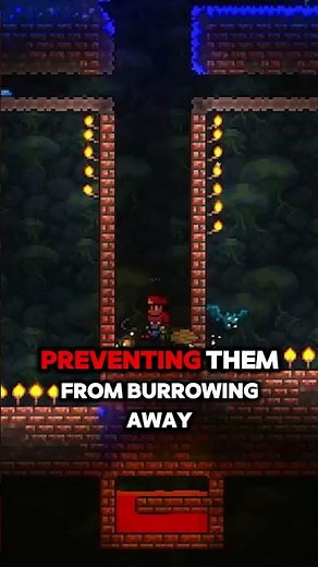 How to Get INFINITE Truffle Worms (AFK) 🐛 #terraria