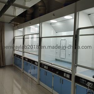 [Hot Item] En Standard Lab Fume Cupboard Ducted Chemical Fume Hood