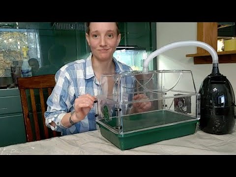 Building a small mushroom fruiting chamber