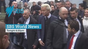 The far-right politician set to make a significant impact on the Dutch election. SBS World News, 6.30 tonight. | SBS News