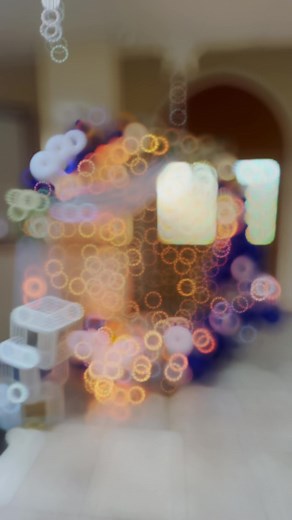 2.3K views · 29 reactions | Graduation Ceremony is the most important...