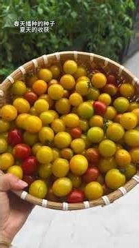 Spring Friends Sowing Time! 🌱✨ Seeds & Seedlings Galore