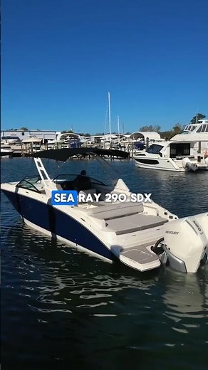 HIDDEN FEATURE on the Sea Ray 290 SDX| MarineMax Venice #shorts #youtubeshorts #boating #searay