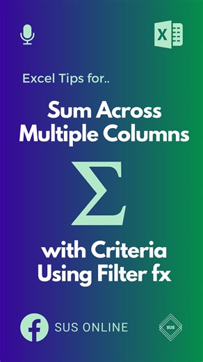Excel Tips To Calculate Conditional Sum using Filter Funciton! #excel #exceltips #DataEntry #spreadsheets #accounting | SUS ONLINE