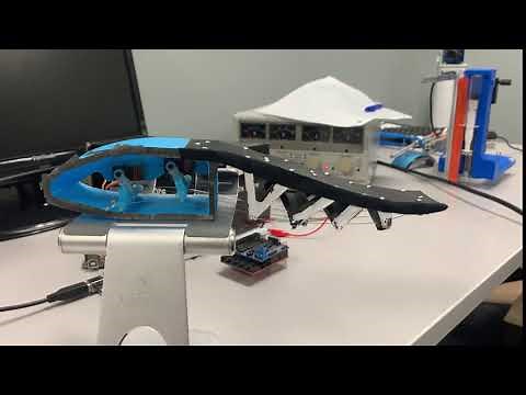 Morphing Trailing Edge Wing Prototype