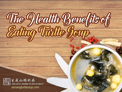 Health Benefits of Eating Turtle Soup | Ser Seng Herbs (Turtle) Restaurant