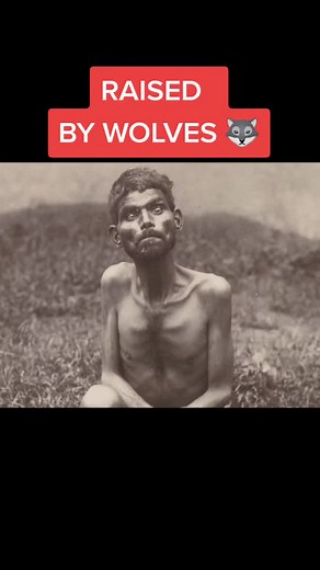 The Man Raised by WOLVES #raisedby #wolfman