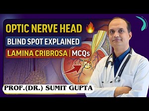 Optic Disc & Optic Nerve Head | High-Yield Anatomy for Medical Exams | DR SUMIT GUPTA