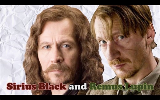 【HP犬狼】他们是基佬吗？Are They Gay - Remus Lupin and Sirius Black (Wolfstar)