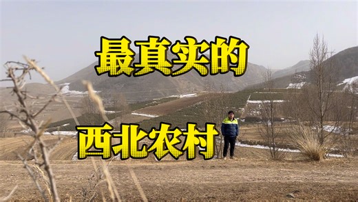 西北小伙过年回家，最想见的是一棵970年前的数？！村庄寂静无声，残垣断墙人都去了哪里？