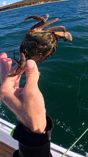 127K views · 2.9K reactions | Always fun this time of the year...