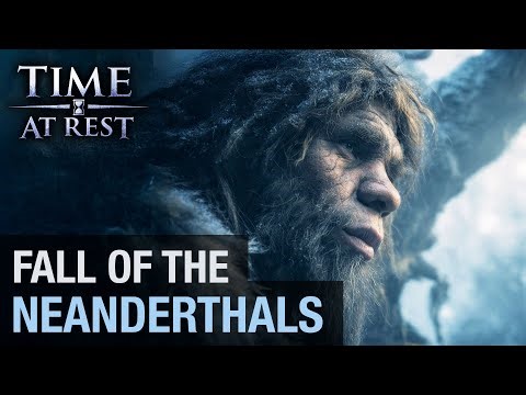 Fall of the Neanderthals (Restful Documentary)