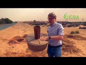 Cocoon planting technology in UAE