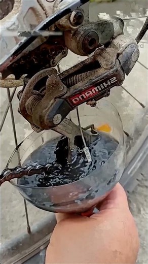 Simple Bicycle Maintenance Tips Every Rider Should Know! #BicycleTips #BicycleMaintenance #Shorts