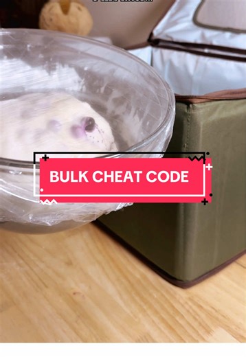 Optimize Your Sourdough Bulk Fermentation Process