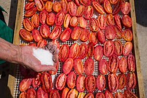 Tomato Recall as Dire Warning Issued If Products Eaten