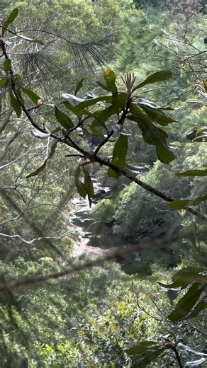 Adventure that heals, not just the planet, but you. 🌿 What if adventure wasn’t about escaping, but returning? Not about conquering mountains, but softening into belonging? When we choose experiences that root us in place, that invite presence, curiosity, and care, we begin to regenerate more than landscapes. We regenerate ourselves. Every mindful step. Every shared meal outdoors. Every moment of awe. This is what healing looks like, for the Earth, and for us. ✨ Come wander with us. Let nature d