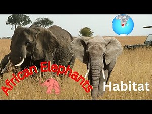 Majestic African Elephants In Their Natural Habitat | Wildlife Documentary