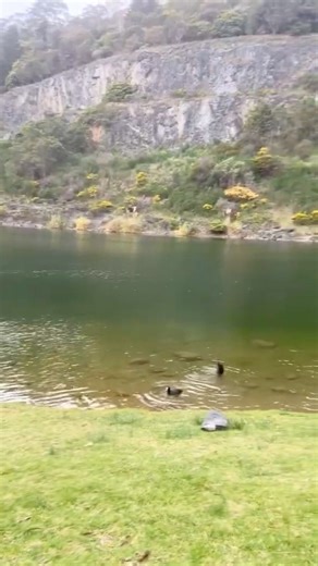 📍Fern tree gully quarry 😍