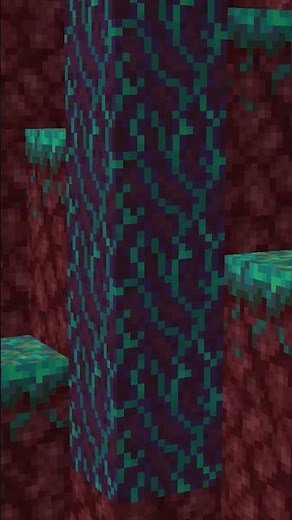 HOW TO GET ON THE NETHER ROOF WITH 3 LOGS NO PEARLS #minecraft