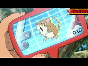 Raticate pokedex entry