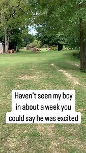 What a beautiful 😍moment with this donkey 😍 @donkey_familyy | Donkey family