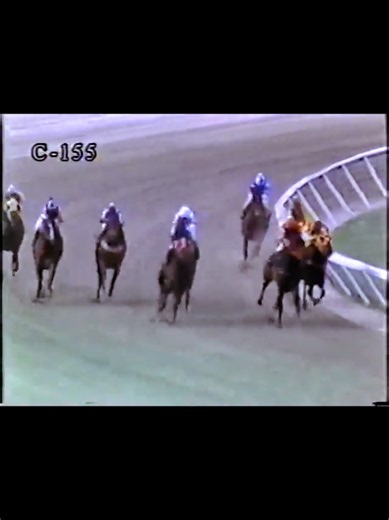Clásico Eduardo Larrazábal Eduardo 2000: victoria de Yerbamora