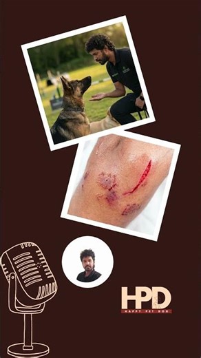 Dog bite: Why Honest Communication With Trainers Matters