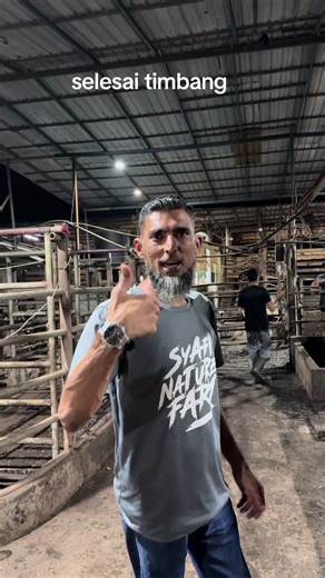 Sesi Penimbangan Lembu untuk Korban 2025