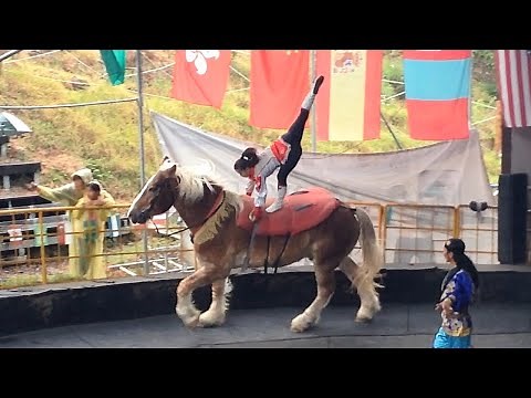 Horse Riding Incredible Stunts | Mongolian Horse Riders